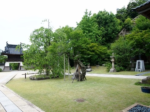 P5303608 (640x480)