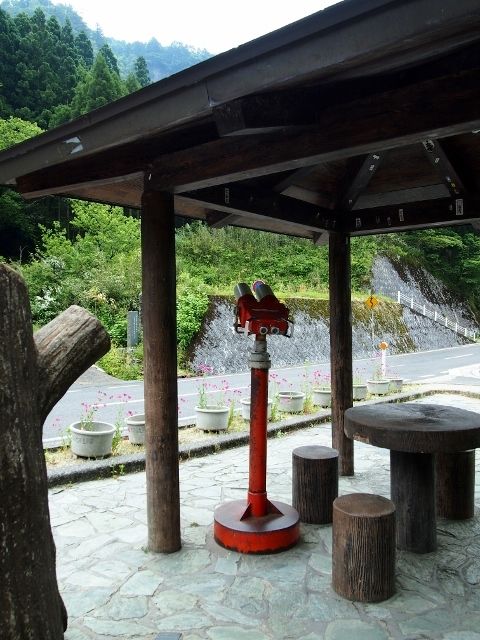 P5303551 (640x480)