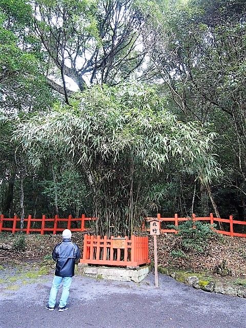 P1221783 (640x480)