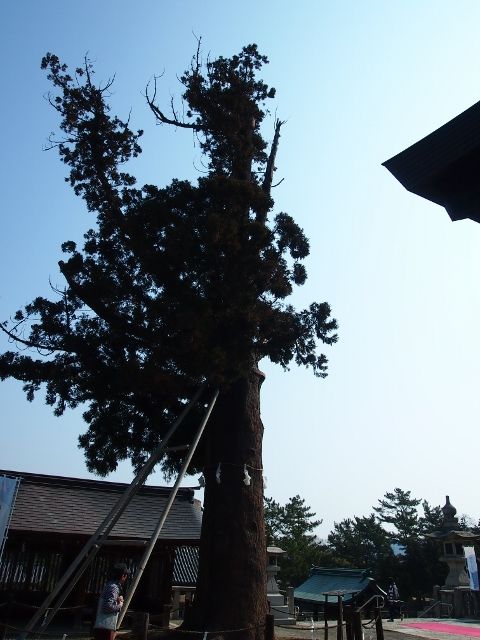 P3056889 (640x480)