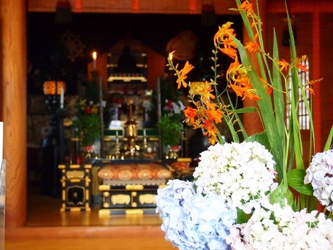 P6284626 (640x480)