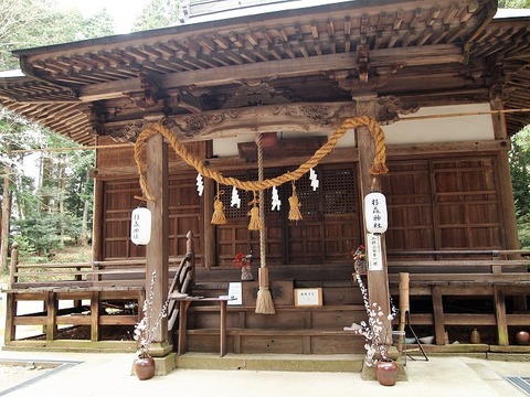 P1016253