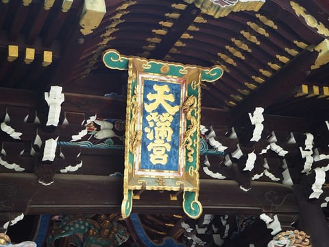 P6030189