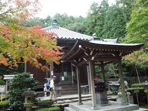 PA280774