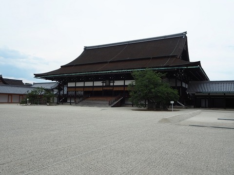 P6030100