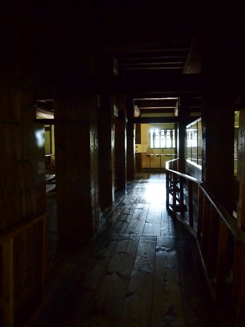 P3207460 (640x480)