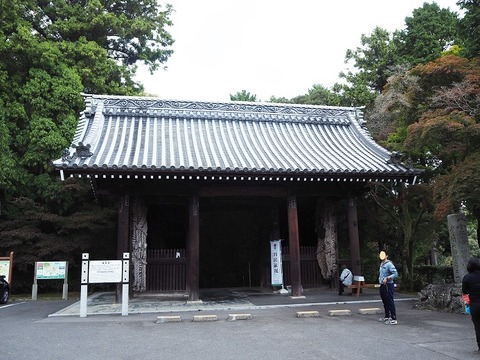 PA280779