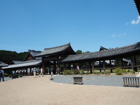 P6040385