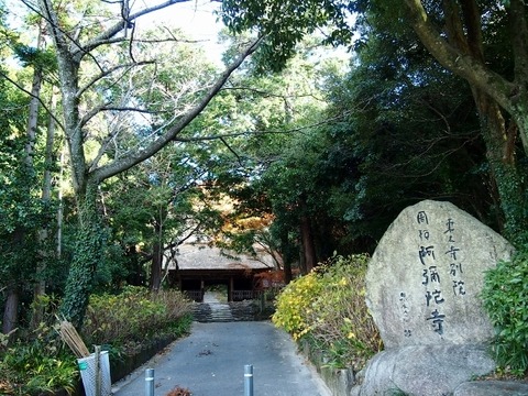 PC144405 (640x480)
