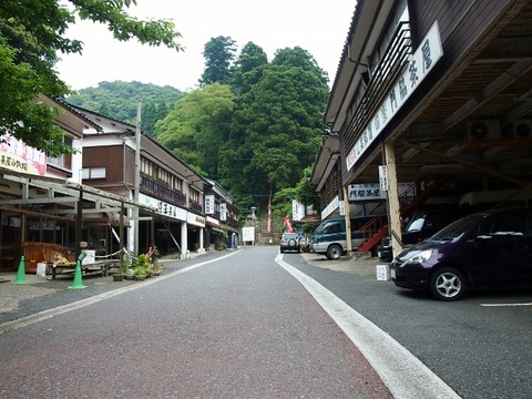 P5303575 (640x480)