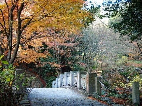 PC144411 (0) (640x480)