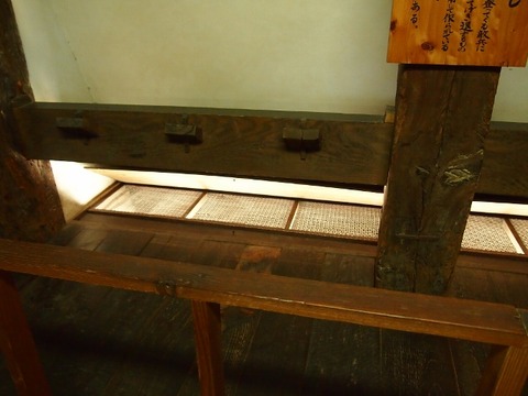 P3207459 (640x480)