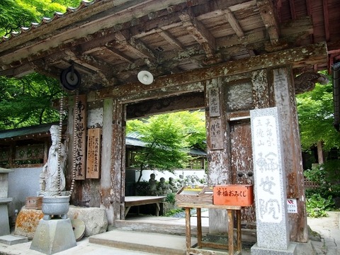 P5303558 (640x480)