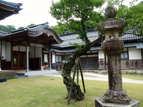 P5303607 (640x480)