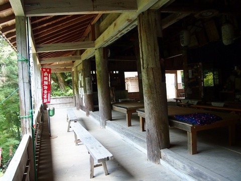 P5303547 (640x480)
