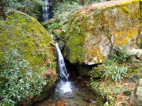 P1196178 (640x480)