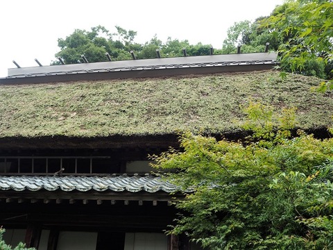 P9240037