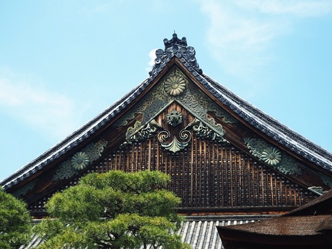 P6030049