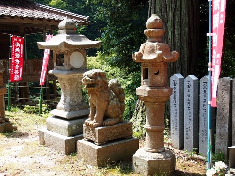 P5303539 (640x480)