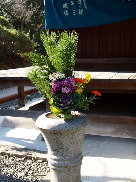 P1045035 (640x480)