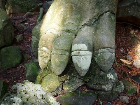 P3207571 (640x480)