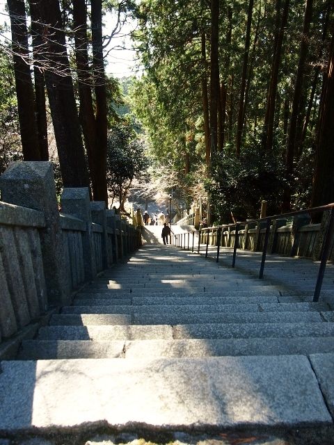 P1045014 (640x480)