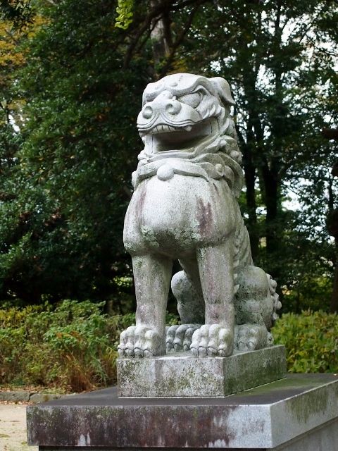 PB069204 (640x480)