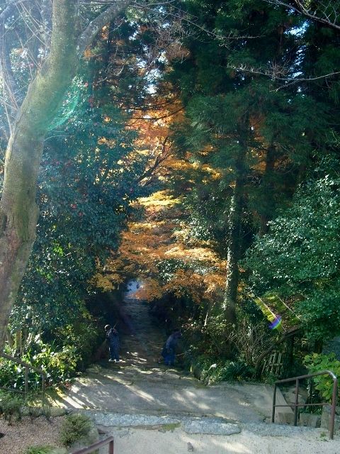 PC144438 (640x480)