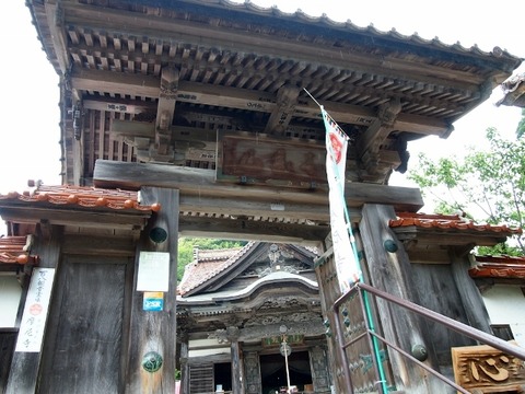 P5303582 (640x480)