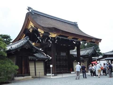 P6030067