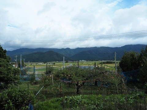 PA140272