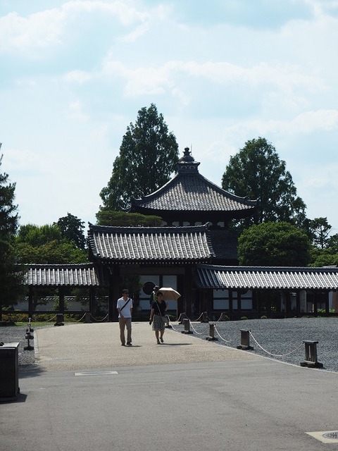 P6040395
