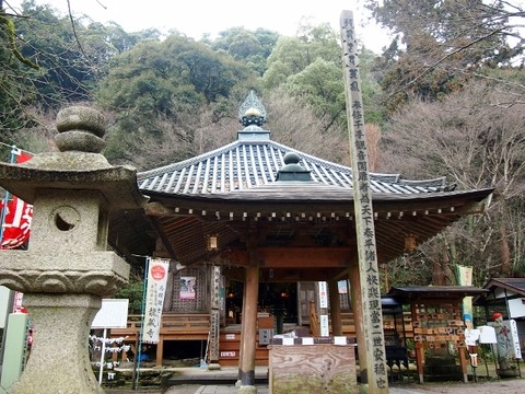 P1196158 (640x480)