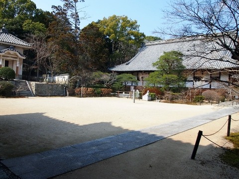 P3056989 (640x480)
