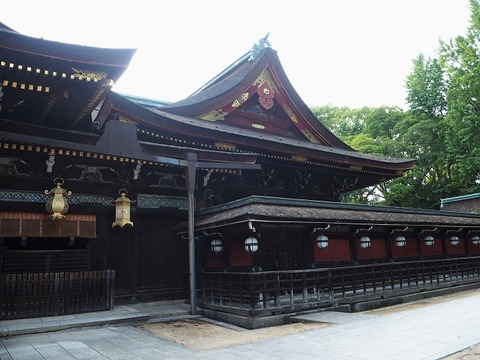 P6030202