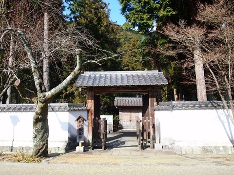 P1235493 (640x480)