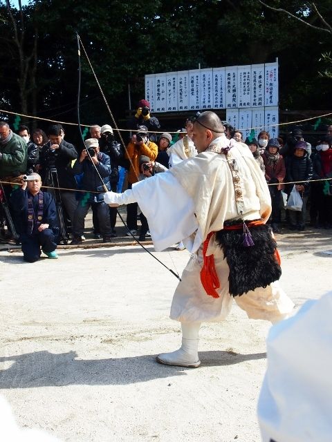 P2156210 (480x640)