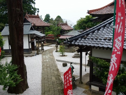 P5303593 (640x480)