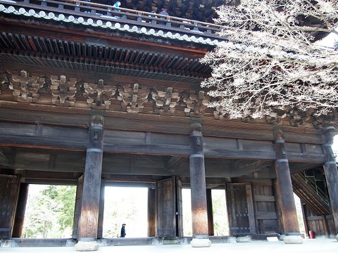 P3274532