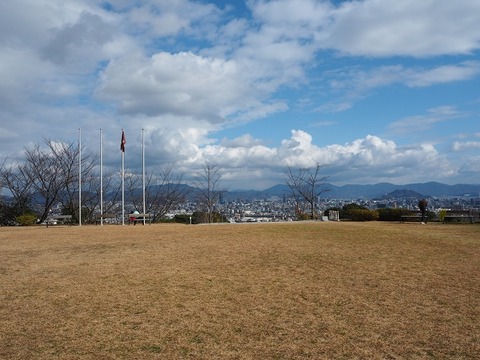 PC241333
