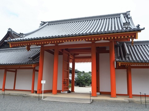 P6030078