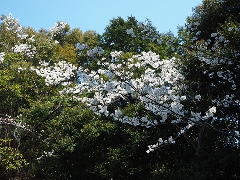 P3260323