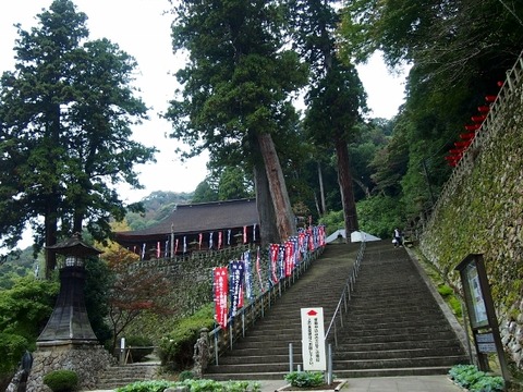 PB069215 (640x480)