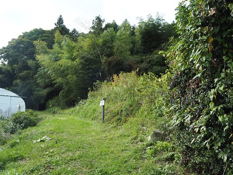 PA140257