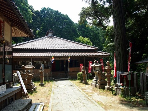 P5303537 (640x480)