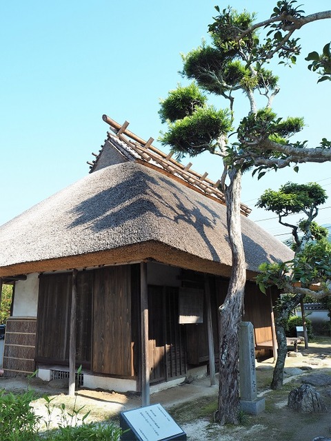 P6250690