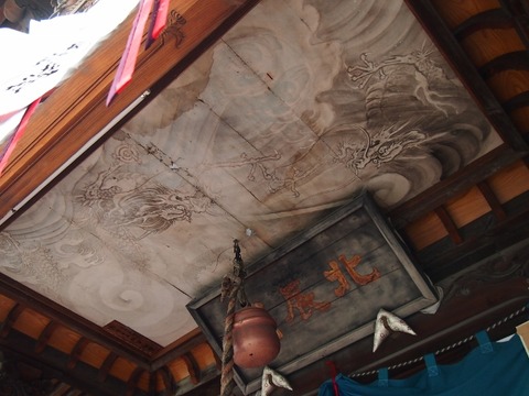 P2217537 (640x480)