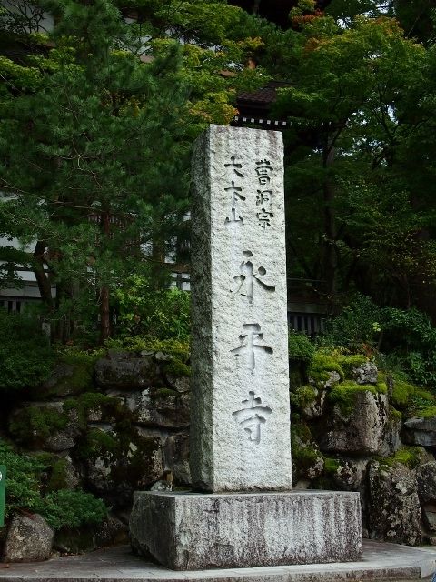 PA198011 (640x480)