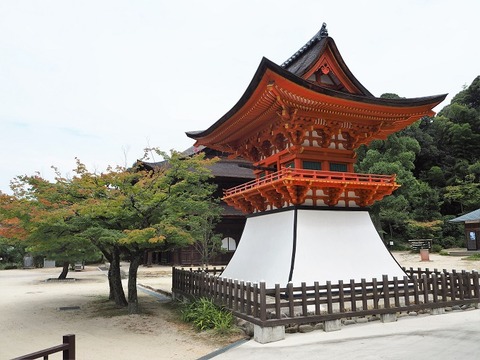 P9040241