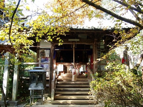 PB163486 (640x480)